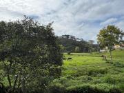 Top Rancho Queimado