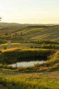 Top Montalcino