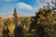 Top San Martín de los Andes