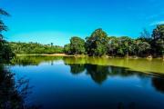 Top Sakleshpur