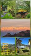 Top Kanatal