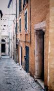 Top Ancona