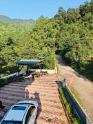 Top Kandogal