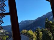 Top Schwarzenberg im Bregenzerwald