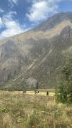 Top Ollantaytambo