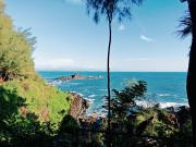 Top Gokarna