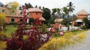 Top Thong Pha Phum