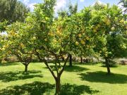 Top Santa Maria di Castellabate