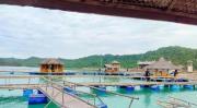 Top Caminawit