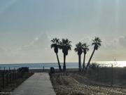 Top Canet de Berenguer