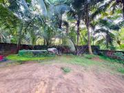 Casa Blue Palms Guesthouse