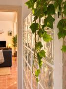 Apartamento completo nuevo centro