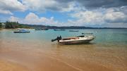 Top Banggai