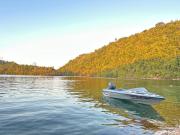 Top Banggai