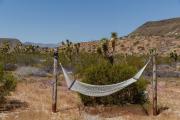 Top Yucca Valley