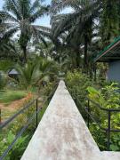 KhaoSok Mountain Palms Lodge & Tours