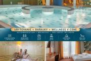 Wellness Hotel Thermal