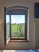 Top Lazise