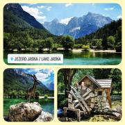 Top Kranj