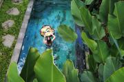 Top Ubud