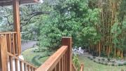 Top Alajuela