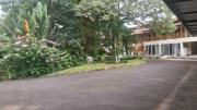 Top Alajuela