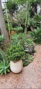 villa de charme avec grand jardin á 2 min de la mer