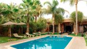 Royal Palm Riad, Breakfast, Lunch, Transport and Luxury Activities