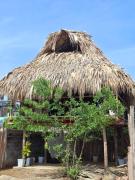 Top Rincón