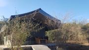 Leruk luxury Tented Camp