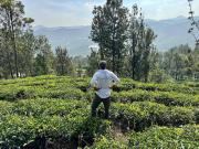 Top Kotagiri