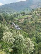 Top Kotagiri