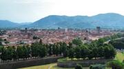 Top Lucca