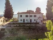 Top LUgolino