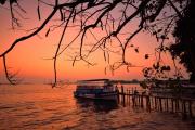 Top Cochin Top Cochin