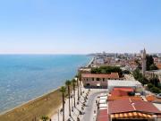 Top Larnaka