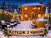 Top Mykulychyn