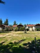Top Algarrobo