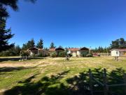 Top Algarrobo