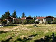 Top Algarrobo