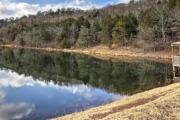 Top Reeds Spring