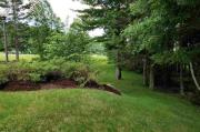 Top Bretton Woods