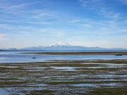 Top Sequim
