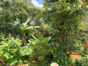 Top Madikeri
