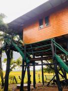 lake paradise cabana