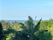 Top Cửa Lô