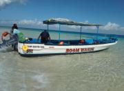 BOOM DHOW TOUR and DOLPHIN SAFARI