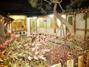 Jeonju Tosarang Guesthouse