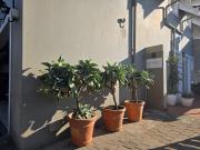 Top Kloof Top Kloof