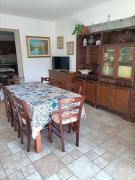 Top Terni
